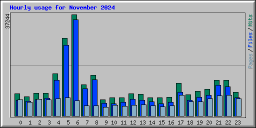 Hourly usage for November 2024