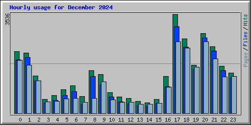 Hourly usage for December 2024