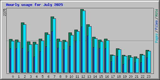 Hourly usage for July 2025