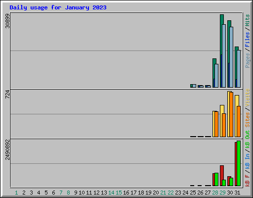 Daily usage for January 2023