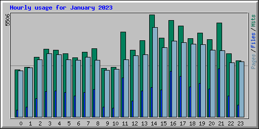 Hourly usage for January 2023