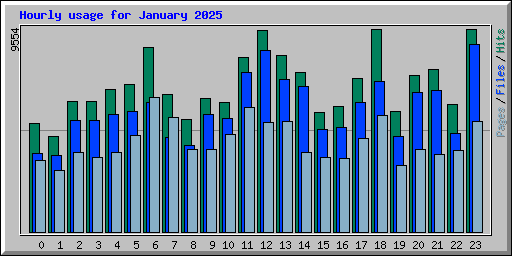 Hourly usage for January 2025