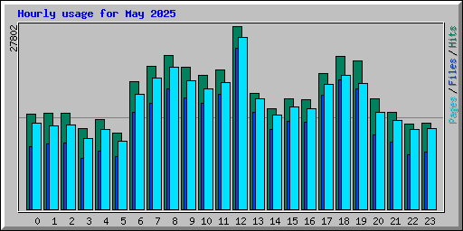 Hourly usage for May 2025