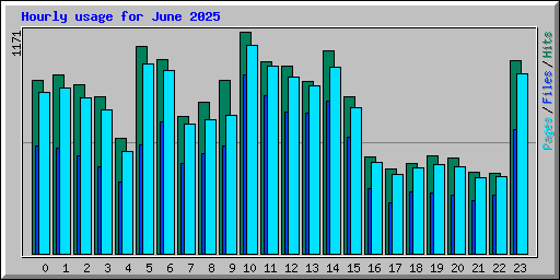 Hourly usage for June 2025