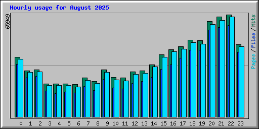 Hourly usage for August 2025